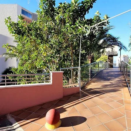 Don Miguel II 11-F Benidorm
